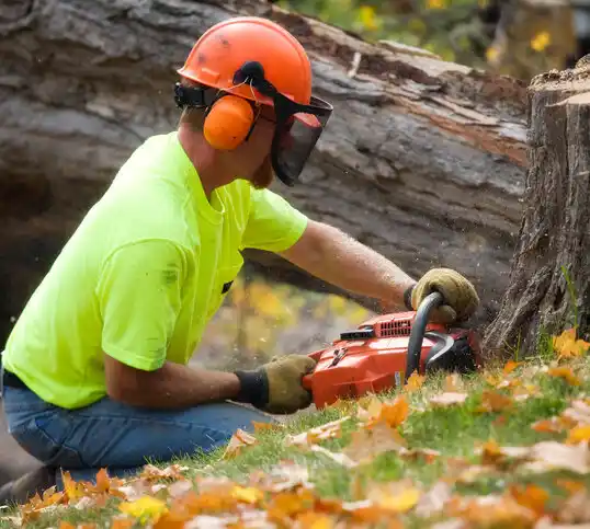 tree services West Swanzey